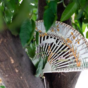 abanico pintado sobre arbol